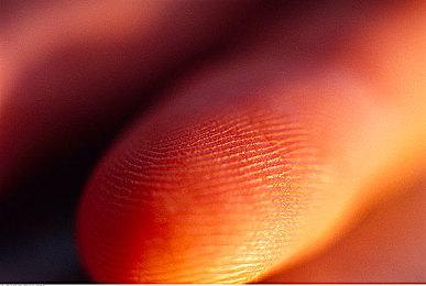 动作惊悚游戏《Shadow Corridor影之回廊》繁体中文NS数字版今天上市！